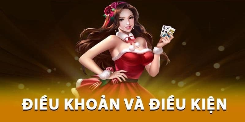 Điều khoản điều kiện là gì?